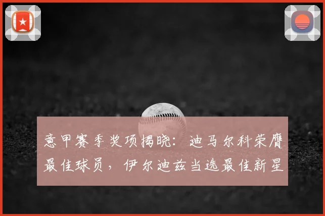 意甲赛季奖项揭晓：迪马尔科荣膺最佳球员，伊尔迪兹当选最佳新星